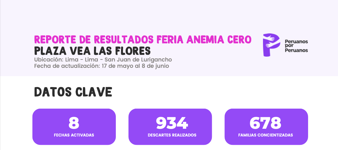 Newsletter – Plaza Vea Las Flores SJL, 2025